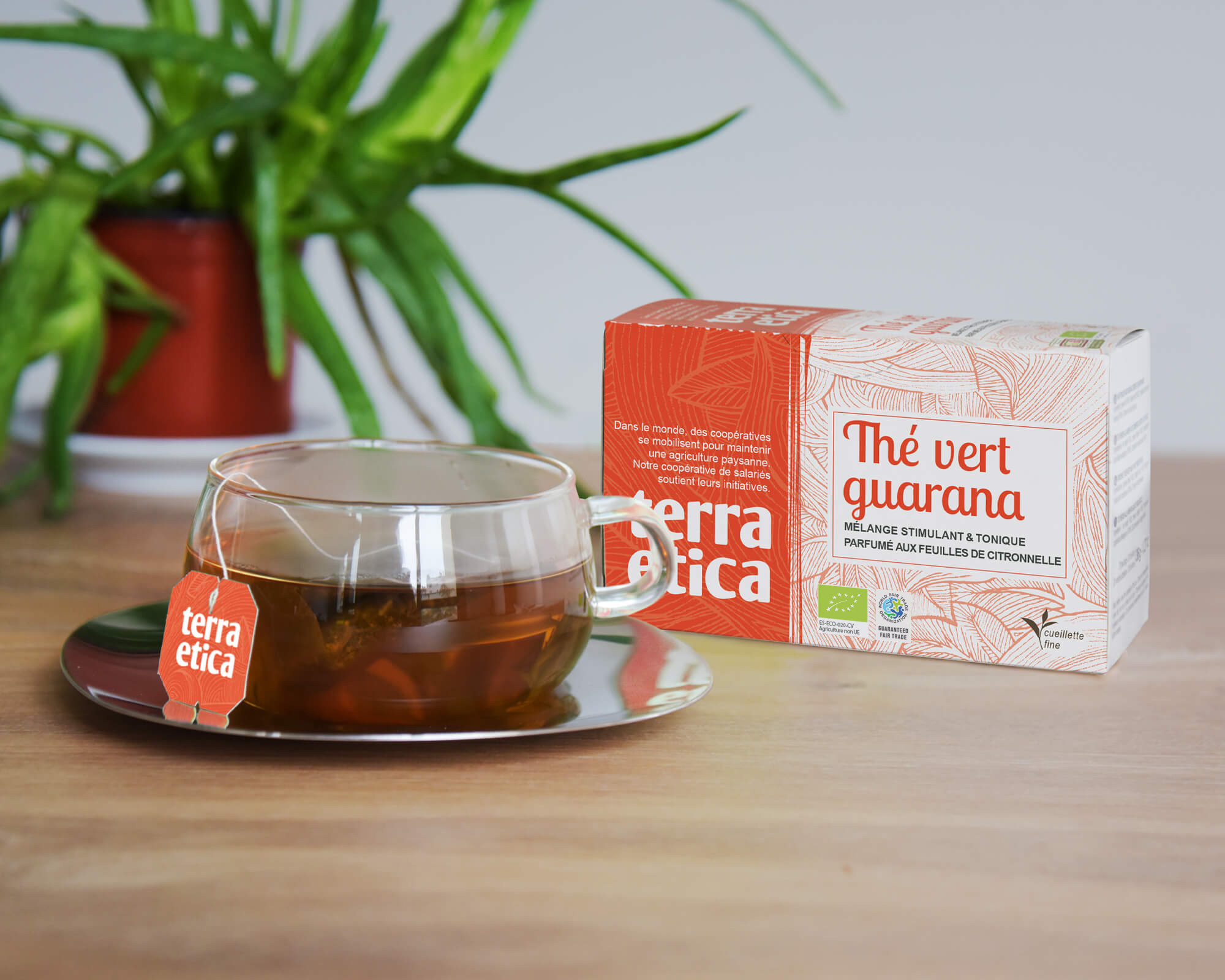 Boîte sachets de thé vert de Ceylan (Sri Lanka) guarana & citronnelle bio et équitable