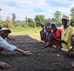 producteurs de café en Ethiopie aux côté d'une claie de séchage