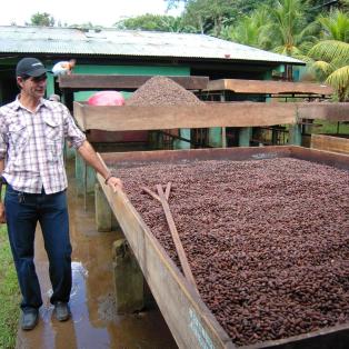 Producteur de cacao de la coopérative Cacao Nica au Nicaragua avec les fèves en train de sécher. 