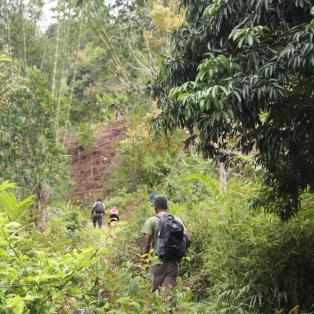 à la découverte du Poivre Sauvage de Madagascar