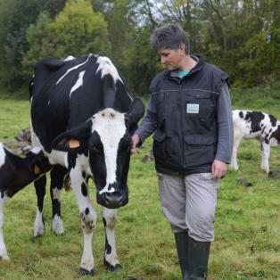 Productrice de la coopérative Biolait avec sa vache laitière. 