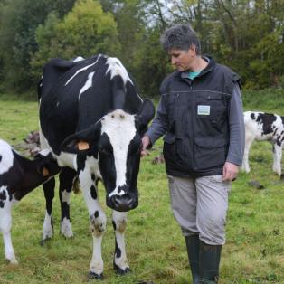 paysanne du groupement Biolait avec ses vaches