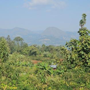 paysage d'Ethiopie avec beaucoup de verdure et les montagnes au loin. 
