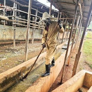 Processus de lavage du café à la coopérative Homa en Éthiopie.
