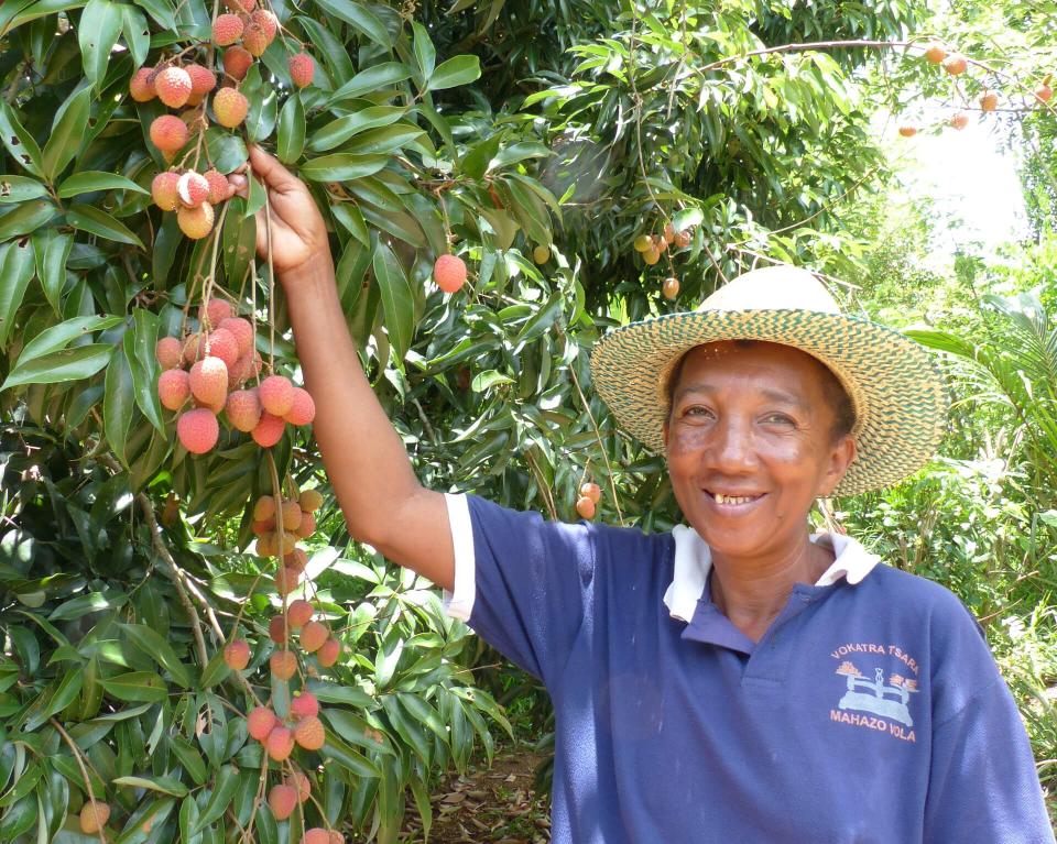 Productrice de litchis bio et équitables cooperative Fanohana à Madagascar  