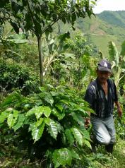 la bio et l'agroécologie